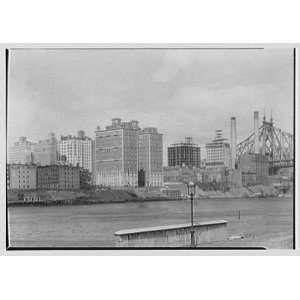  Photo New York skyline from Welfare Island. Toward bridge 