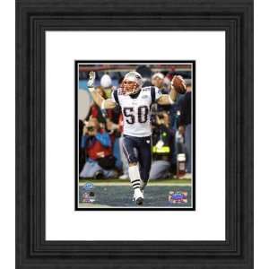  Framed Mike Vrabel New England Patriots Photograph Sports 