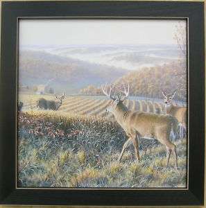 Mountaintop Face Off Deers Antlers Country Picture Prin  