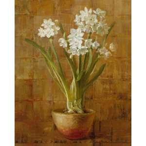  White Narcissus on Bronze 8x10 HIGH QUALITY MUSEUM WRAP 
