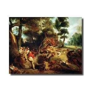  The Wild Boar Hunt After A Painting By Rubens C184050 
