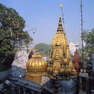  Golden Temple of Vishwanath, Entry Forbidden to Non Hindus 