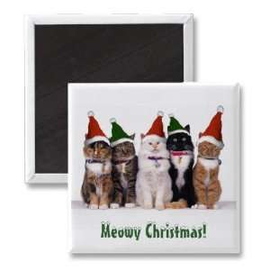  Meowy Christmas Cats In Hats Magnet