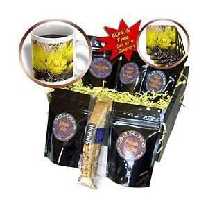   State Park, California   Coffee Gift Baskets   Coffee Gift Basket