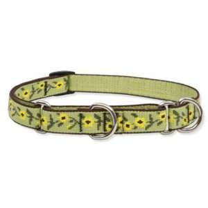 Suzie Q 14 20 Combo Collar