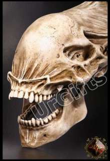   Alien Skull Fossil 11 Scale Resin Model Life Size Hand Made NEW with