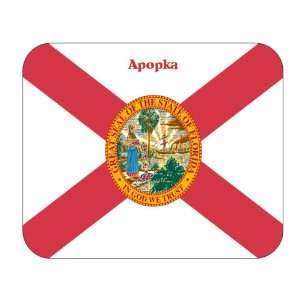  US State Flag   Apopka, Florida (FL) Mouse Pad Everything 