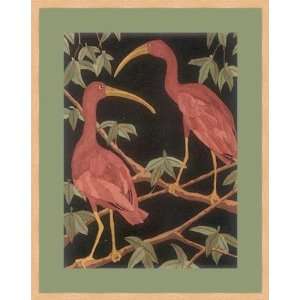    Scarlet Ibis 2 by Dan Goad   Framed Artwork