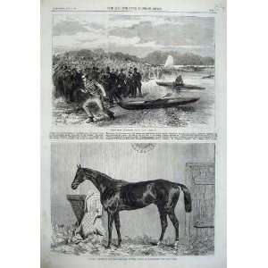  1867 Horse Vauban Newmarket Canoe Race Thames Ditton