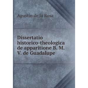   de apparitione B. M. V. de Guadalupe AgustÃ­n de la Rosa Books