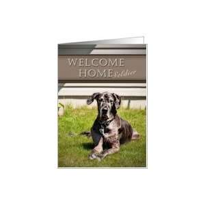  Welcome Home Soldier, Great Dane Dog on Grass Card Health 