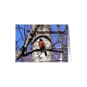  Happy Birthday Mom, from your son, robin photo Card 