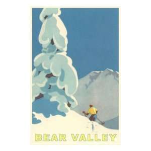  Big Snowy Pine Tree and Skier, Bear Valley Giclee Poster 