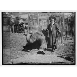  Hattie the elephant,Hattie Snyder,trainer