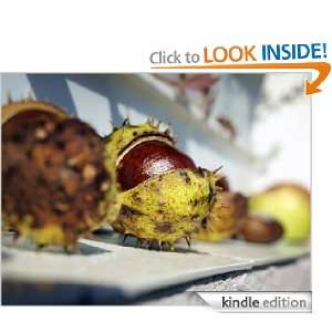 Capital Chestnuts Americas Favorite Chestnut Recipes Rena Weber 