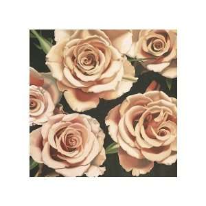   Roses Giclee Poster Print by Elizabeth Hellman, 14x14