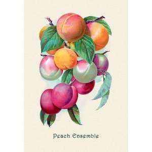  Paper poster printed on 12 x 18 stock. Peach Ensemble 