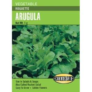  Arugula Roquette Seeds Patio, Lawn & Garden