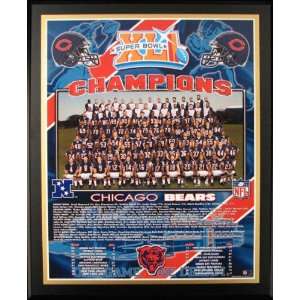  Chicago Bears Super Bowl XLI Champions Healy Plaque 