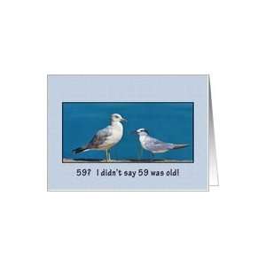  Birthday, 59th, Gull and Tern Birds Card Toys & Games