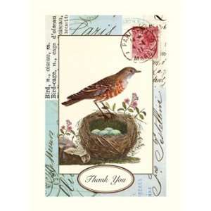  Bird and Nest Boxed Thank You Notes