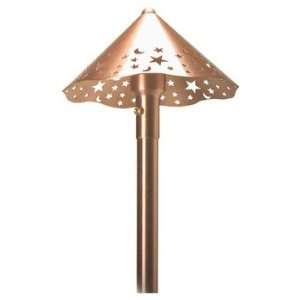 Unique Lightscaping 91210 148 Camelot Area Pathway Light, Natural