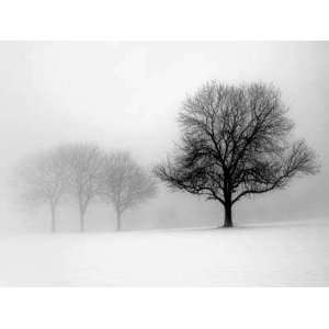 Winter Trees I Ilona Wellman. 28.00 inches by 20.00 inches. Best 