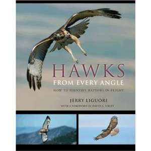    How to Identify Raptors In Flight [Paperback] Jerry Liguori Books