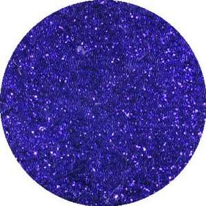  erikonail Fine Glitter Dark Purple
