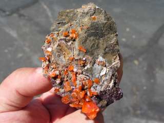 Wulfenite, Red Cloud Mine, Arizona  