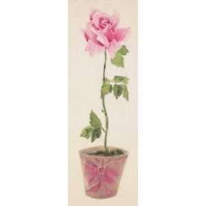  Desert Rose (Canv)    Print