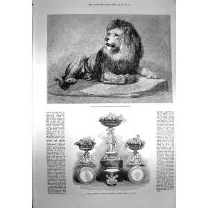  1873 Lion Zoological Dessert Service Northbrook India 