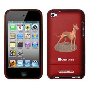  Pharaoh Hound on iPod Touch 4g Greatshield Case  