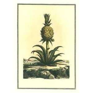  Pineapple I Poster Print