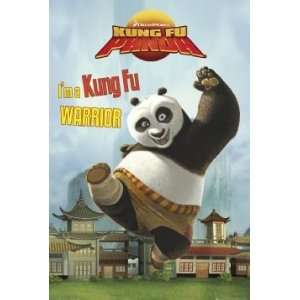  Movies Posters Kung Fu Panda   Solo Warrior Poster   91 
