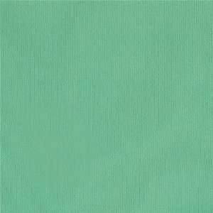   Boutique PUL Mint Blue Fabric By The Yard Arts, Crafts & Sewing