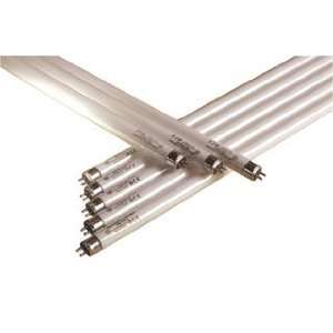  GE 2 T5 HO 6500K Bulbs   Case of 4