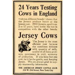   Ad American Jersey Cattle Club Jersey Cows Breed   Original Print Ad