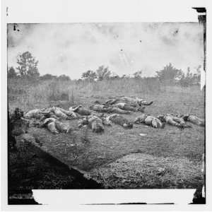  Civil War Reprint Gettysburg, Pennsylvania. Confederate 