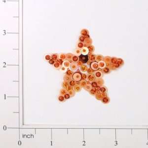  Star Bead and Sequin Applique Arts, Crafts & Sewing