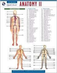   Anatomy 2, (0738607681), The Staff of REA, Textbooks   