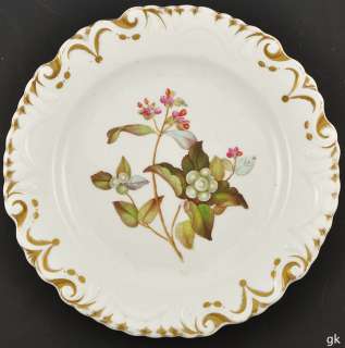 Fabulous Set of 6 Antique English Porcelain Plates Hand Painted Floral 