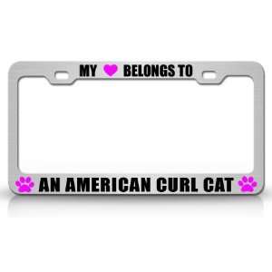 MY HEART BELONGS TO AN AMERICAN CURL Cat Pet Steel Metal Auto License 