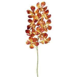  23 Vanda Orchid Spray Orange (Pack of 6)