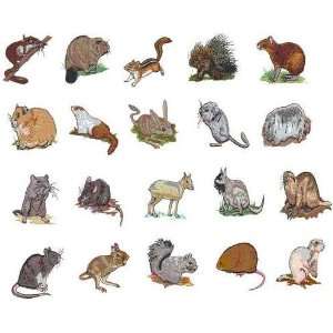   Embroidery Machine Designs CD RODENTS 1 