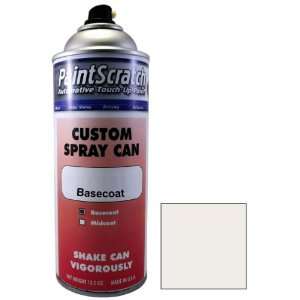  12.5 Oz. Spray Can of Light Silver (matt) Touch Up Paint 