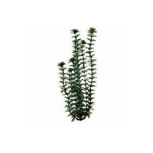   Plant / Green Size 6 Inch By United Pet Group Tetra