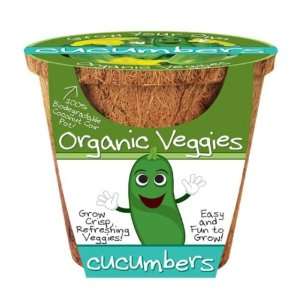  Organic Veggie Cucumbers Case Pack 18 Toys & Games