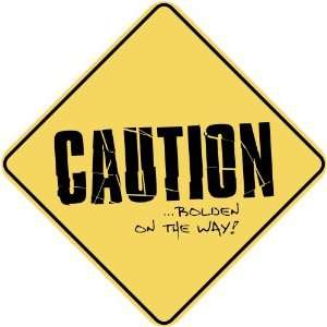   CAUTION  BOLDEN ON THE WAY  CROSSING SIGN