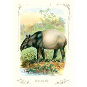  The Tapir 12x18 Giclee on canvas